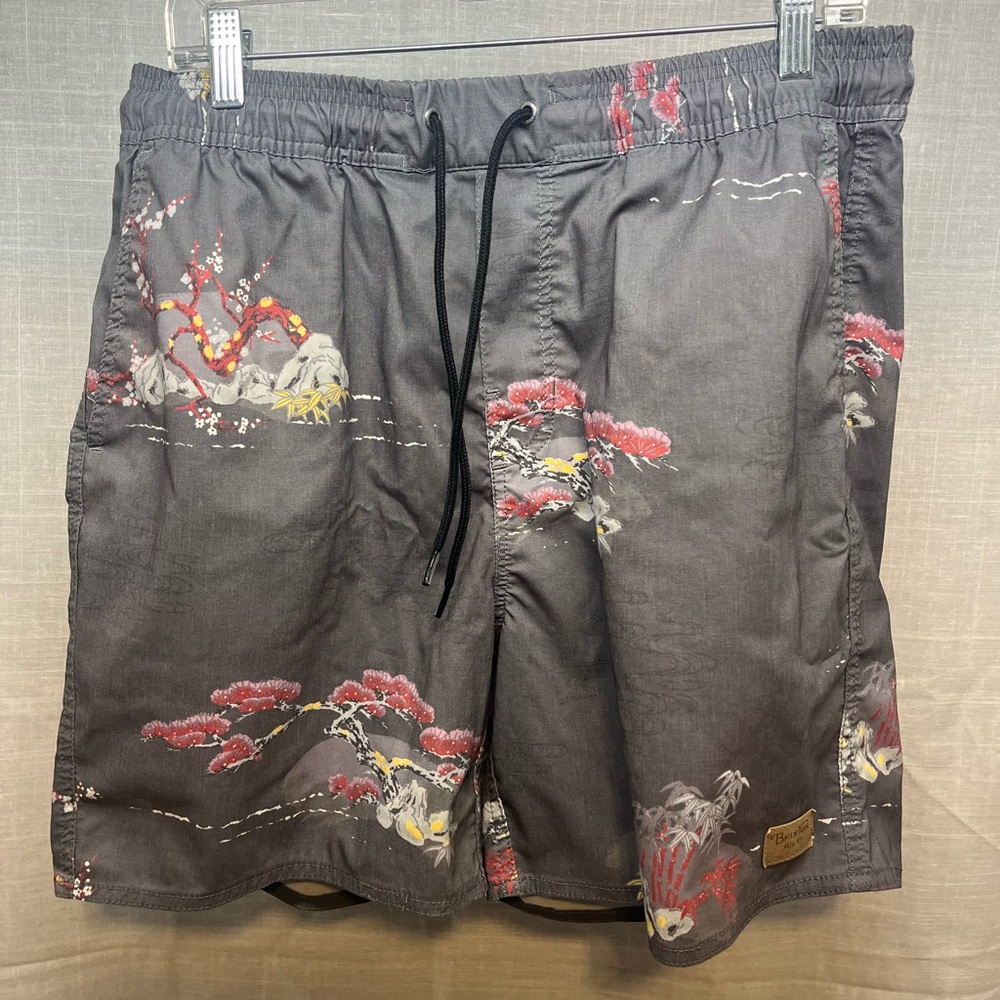 Brixton swim trunks